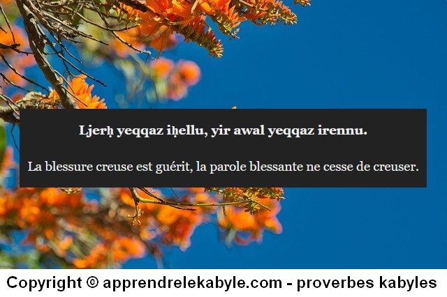 proverbe kabyle berbere amazigh